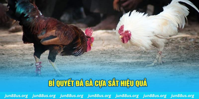 cwin 05 nổ hũ may mắn