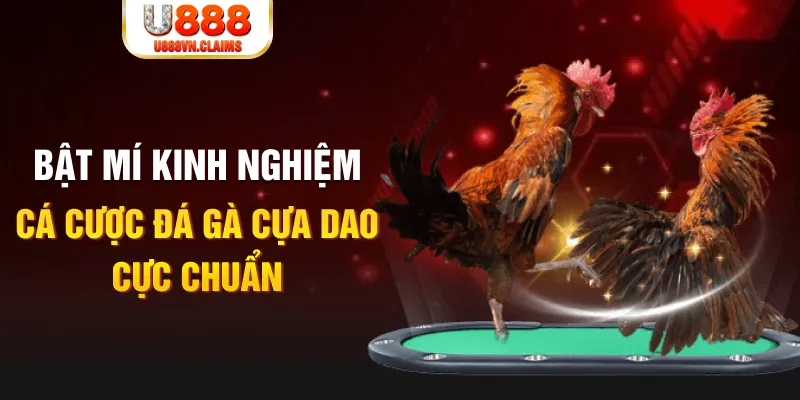 cwin 05 casino hồ tràm có cho người việt vào không