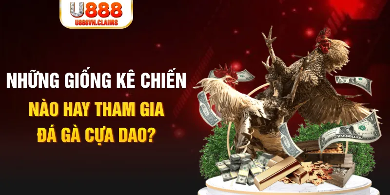 cwin 05 BG Trực Tuyến
