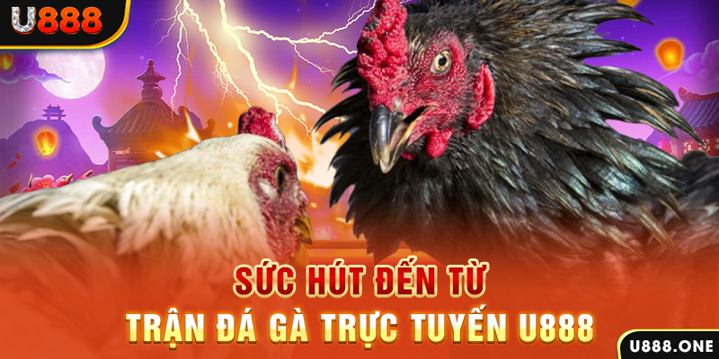 cwin 05 đăng nhập poker 2024
