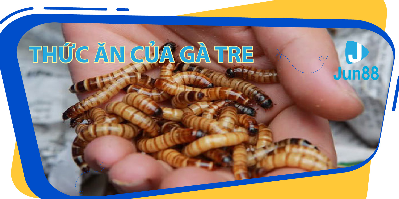 cwin 05 ban ca 30
