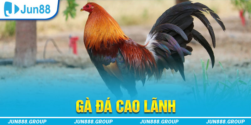 cwin 05 tai game vua bai ve may tinh