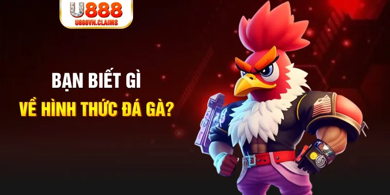 cwin 05 đăng nhập liêng tặng tiền