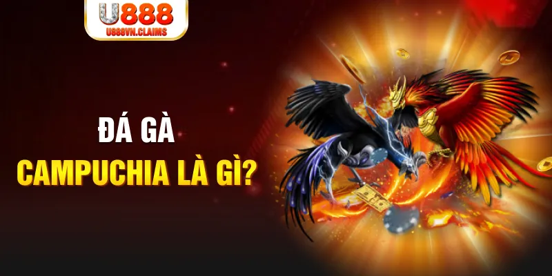 cwin 05 what is the best online casino for real money