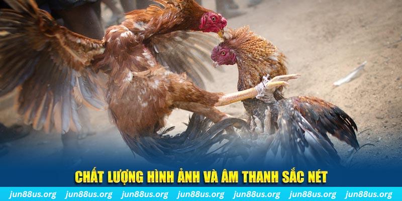cwin 05 tai game danh bai mien phi ve may tinh