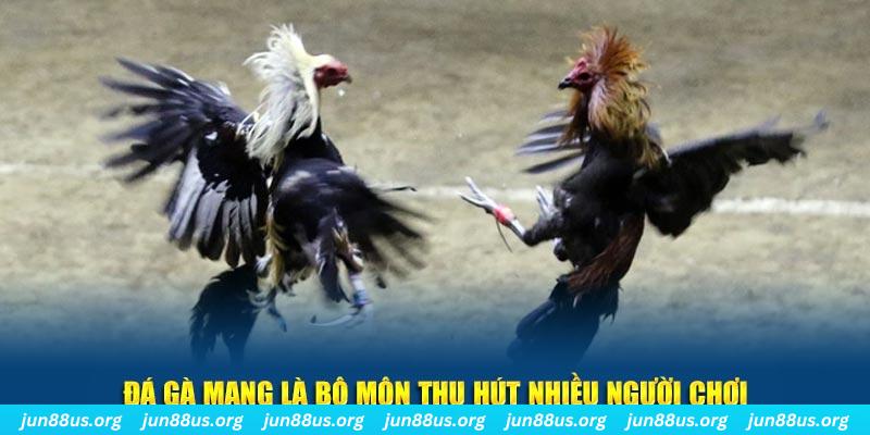 cwin 05 đăng nhập sòng bạc số 1