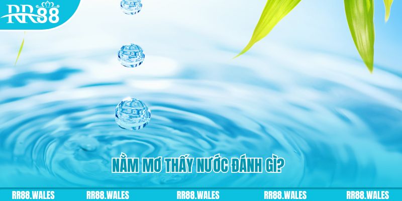 cwin 05 xổ số trực tiếp miền bắc
