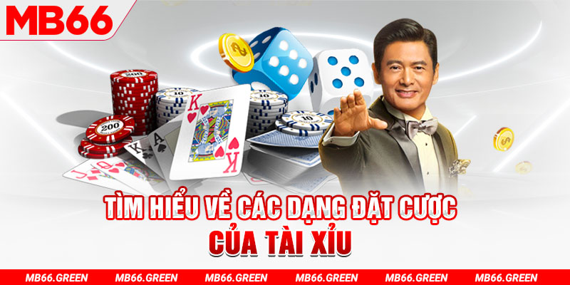 cwin 05 what is a casino loyalty program