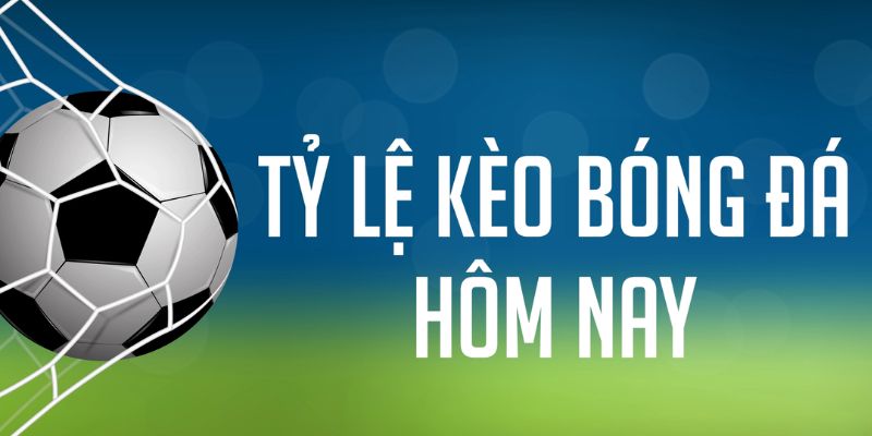 cwin 05 đăng nhập phỏm