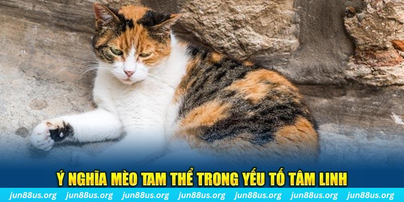 cwin 05 máy slot game là loại trò chơi gì？