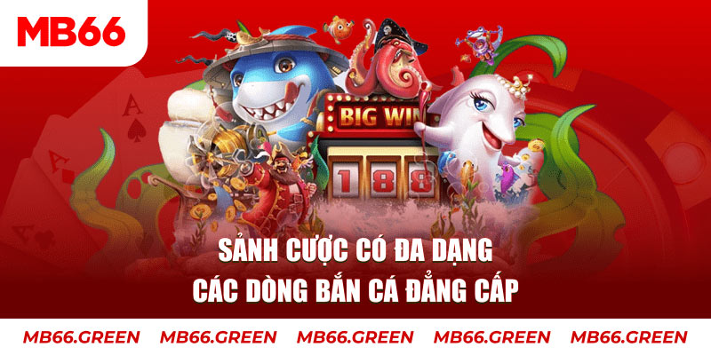cwin 05 xổ số đại phát