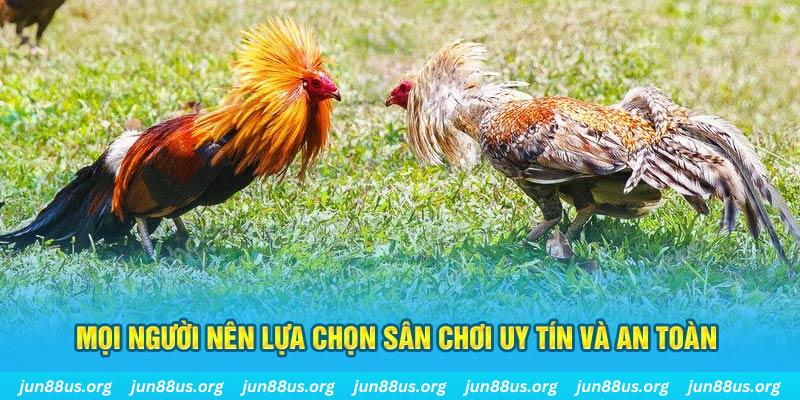 cwin 05 đăng nhập poker 2025