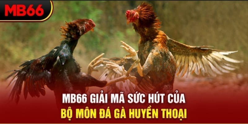 cwin 05 xổ số đài bắc
