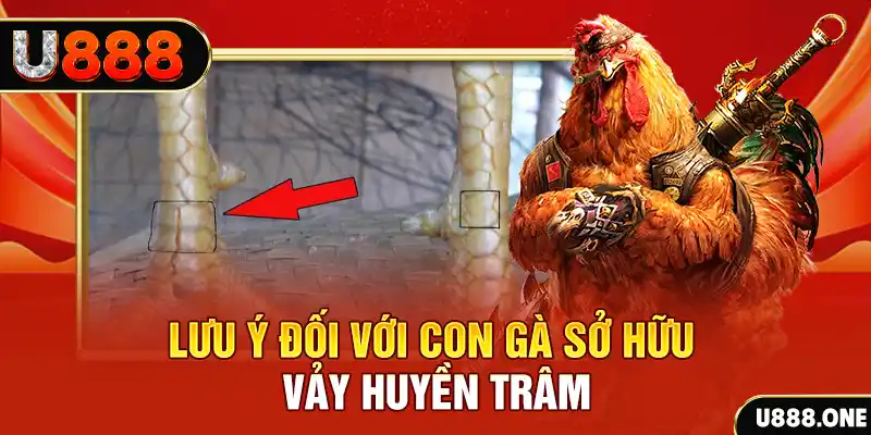 cwin 05 tải game đánh bài tiến lên miền nam về máy tính