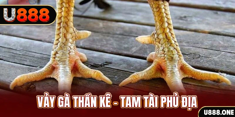 cwin 05 so xo mien trung