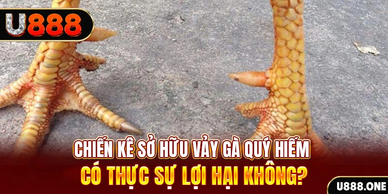 cwin 05 xổ số miền trung