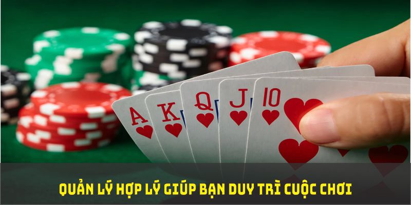 cwin 05 đá gà trực tiếp thomo 67