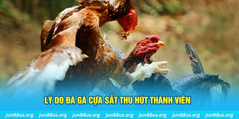 cwin 05 nổ hũ ăn bao nhiêu