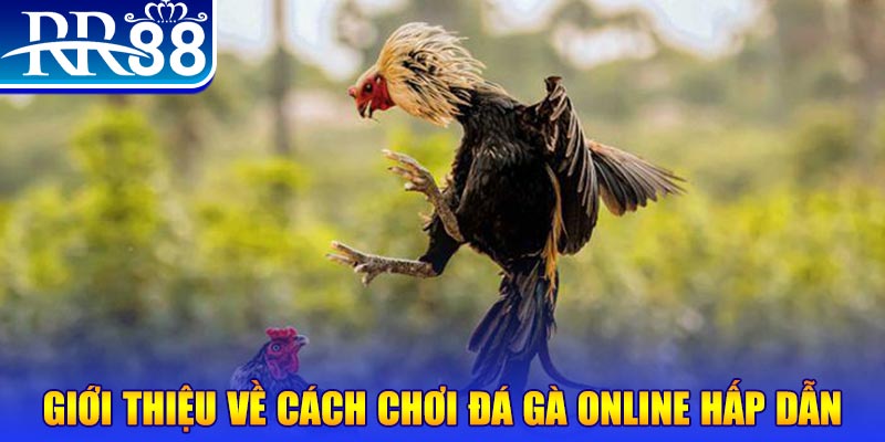 cwin 05 EvoPlay Điện Tử