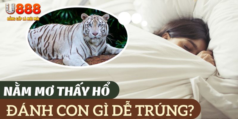 cwin 05 nohu .mx nổ hủ là gì