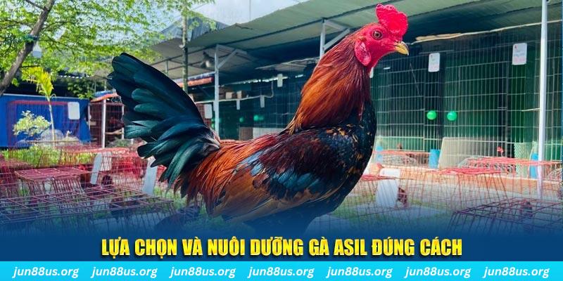 cwin 05 nổ hũ thần tài là gì