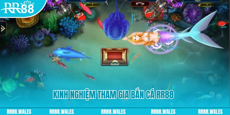 cwin 05 tại sao không tải được nổ hũ