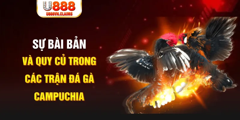 cwin 05 game xếp bài trên máy tính