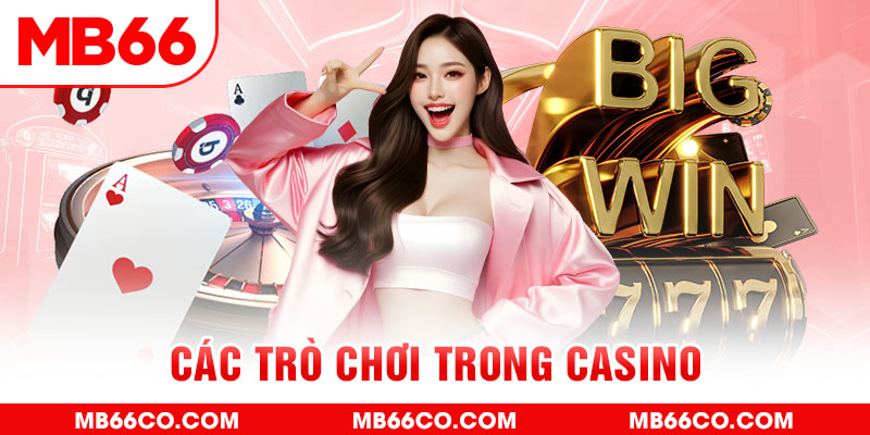 cwin 05 chổi lông gà