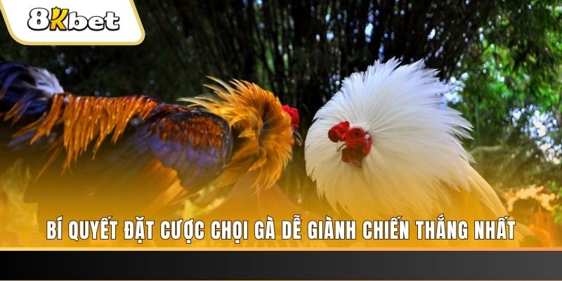 cwin 05 nổ hũ chơi như thế nào