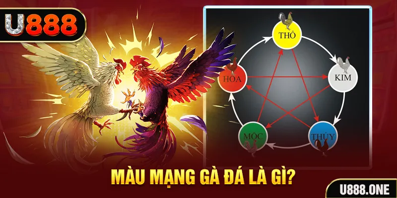 cwin 05 V8 Game Bài 3d