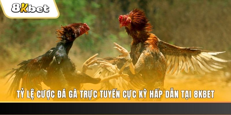 cwin 05 xổ số miền bắc chủ nhật