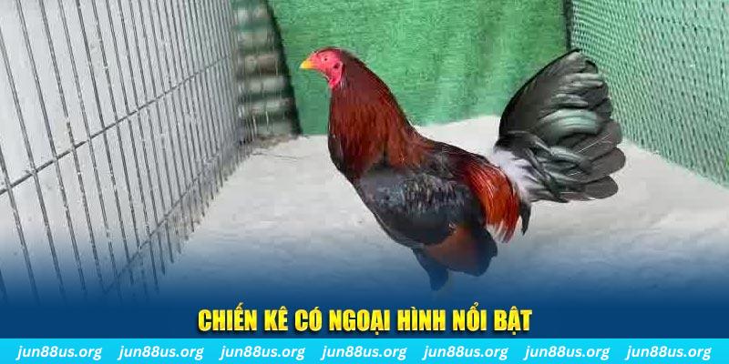 cwin 05 qq88 bắn cá