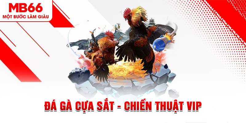 cwin 05 slot out là gì