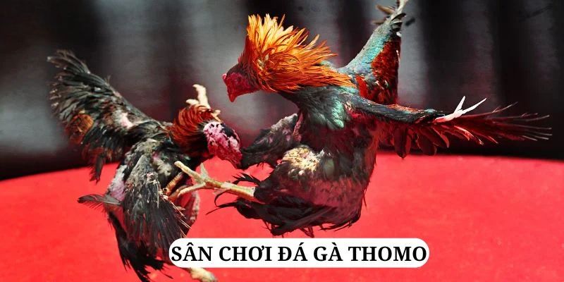 cwin 05 quay nổ hũ là gì