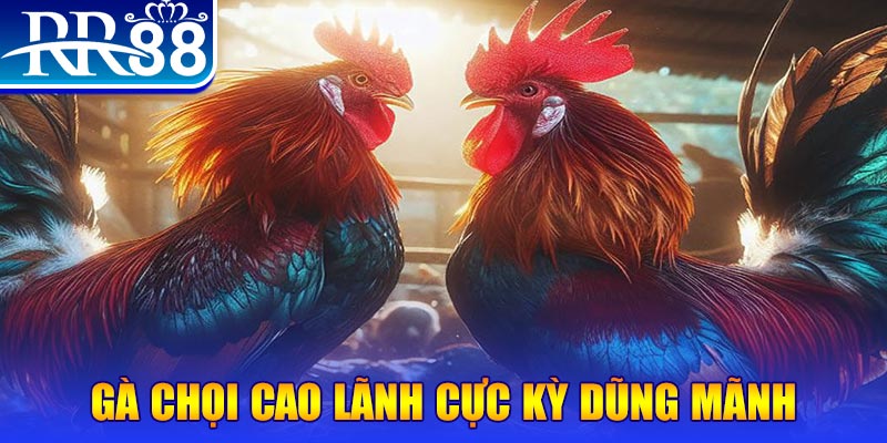 cwin 05 đăng nhập poker live